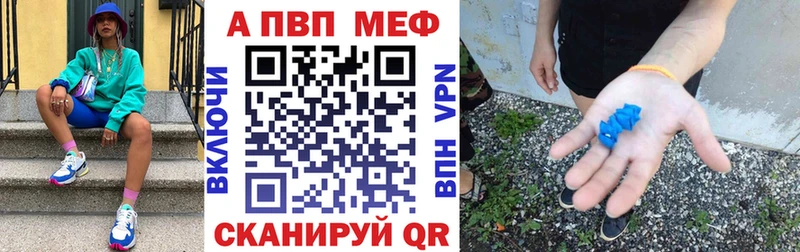 где найти   Чекалин  APVP СК 