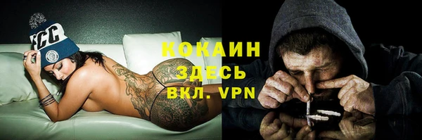 тгк Алексин