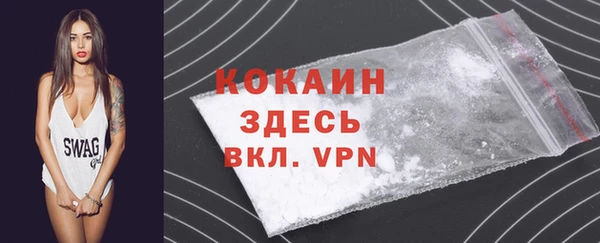 хмурый Новозыбков