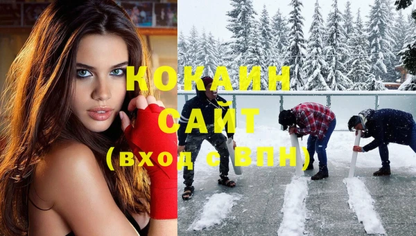 эйфоретик Алзамай