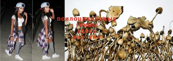 мет Абаза