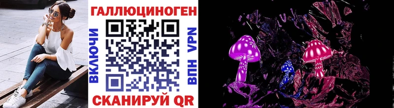 Псилоцибиновые грибы Psilocybine cubensis  Чекалин 